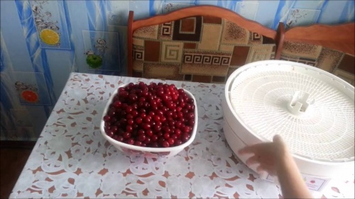 как подготовить вишню