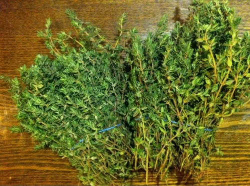 Как сушить чабрец Как сушить чабрец
