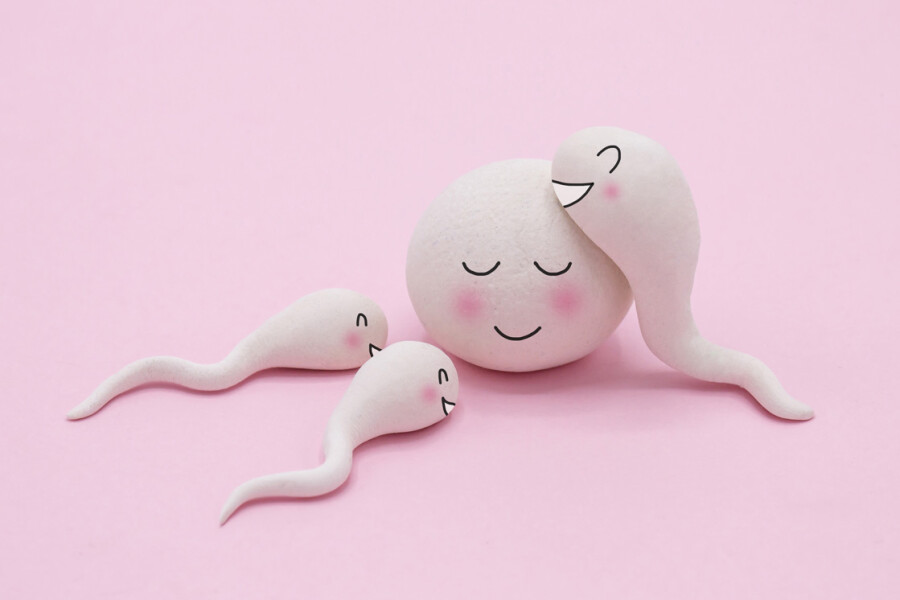 веселый сперматозоид 2