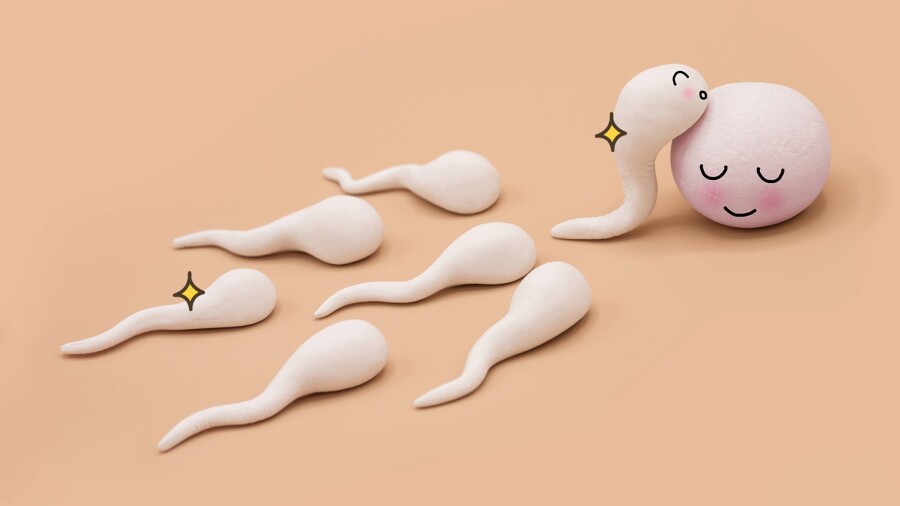 Беременность девственницы