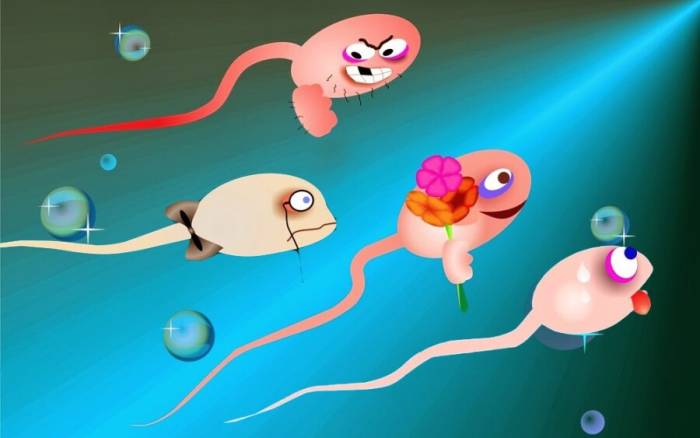 веселые сперматозоиды
