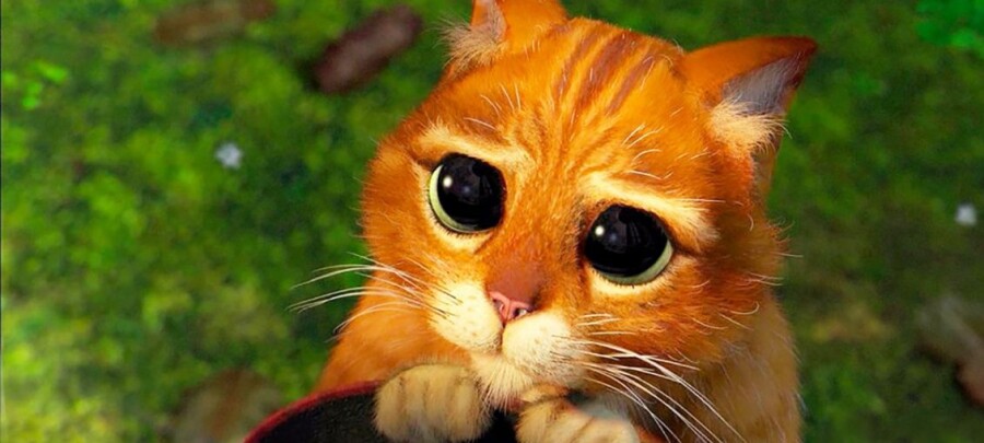 Как разговаривать с обиженной девушкой