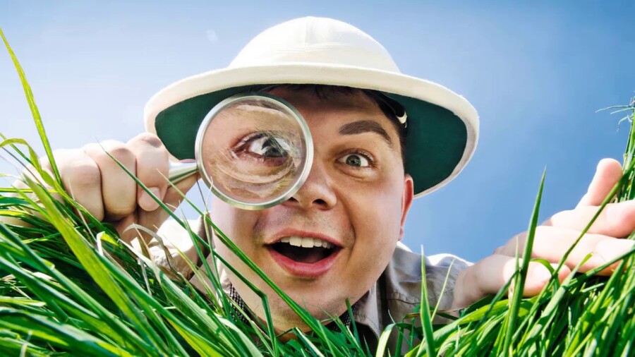 повысить потенцию травами