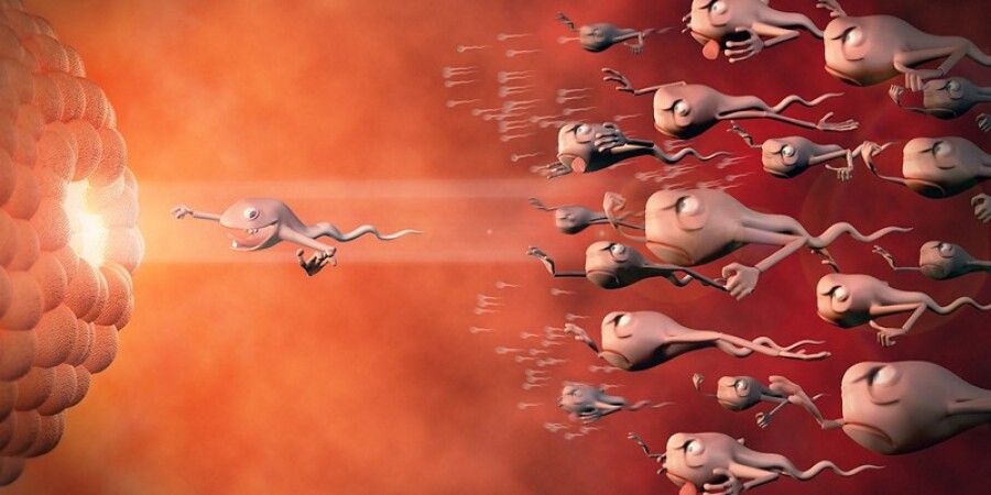 Забеременеть во время месячных