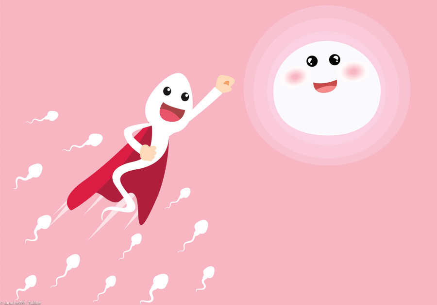 веселый сперматозоид