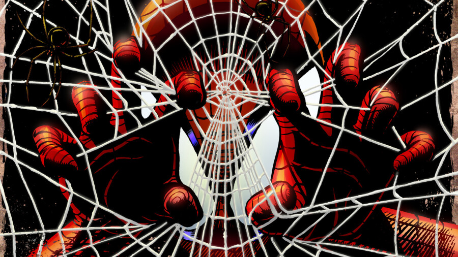 как избавиться от пауков в доме