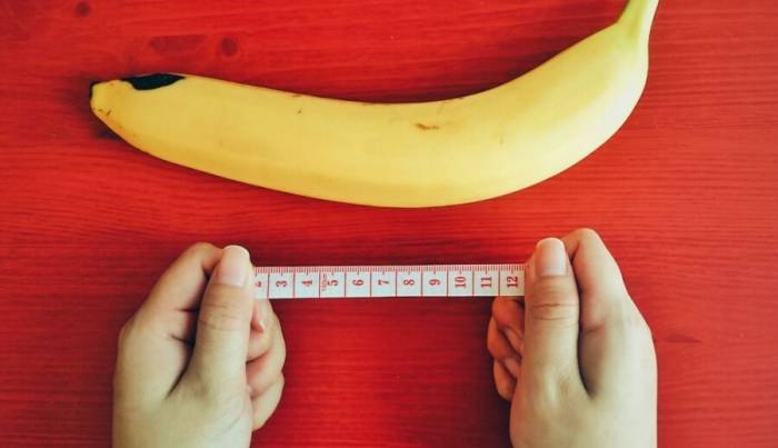 какие есть интимные части тела