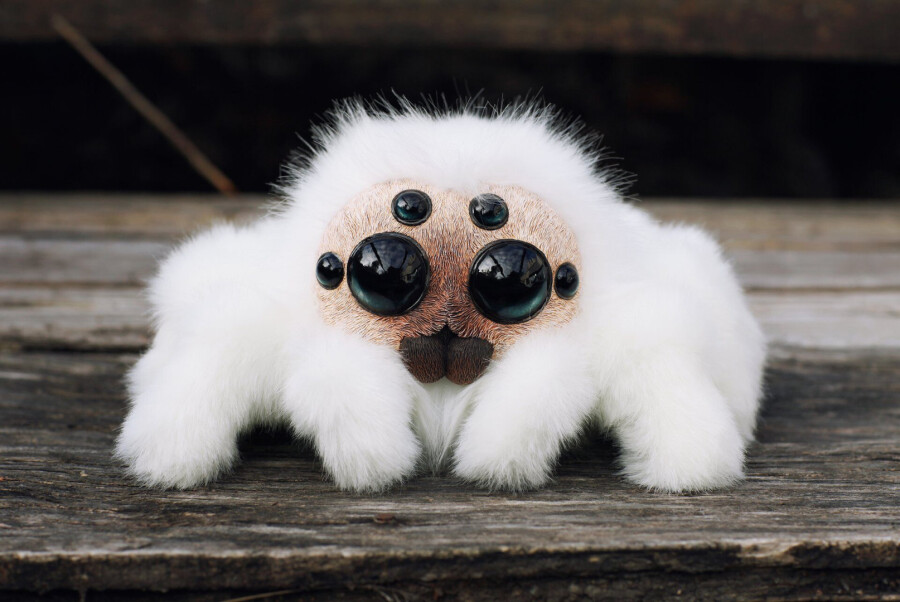 как перестать бояться пауков