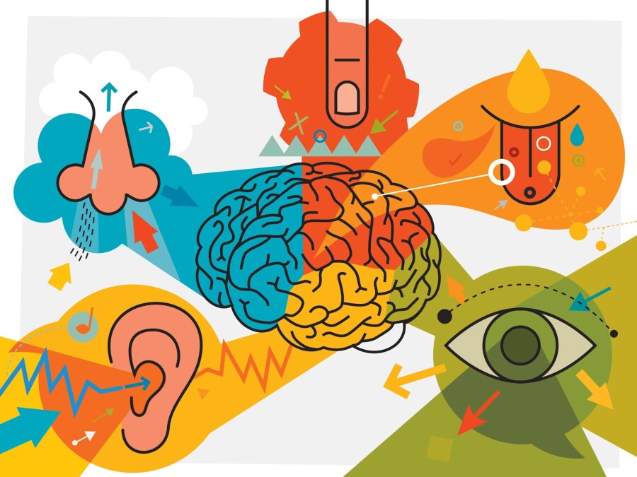 тип восприятия дигитал