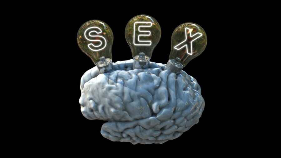 Влияние секса на организм