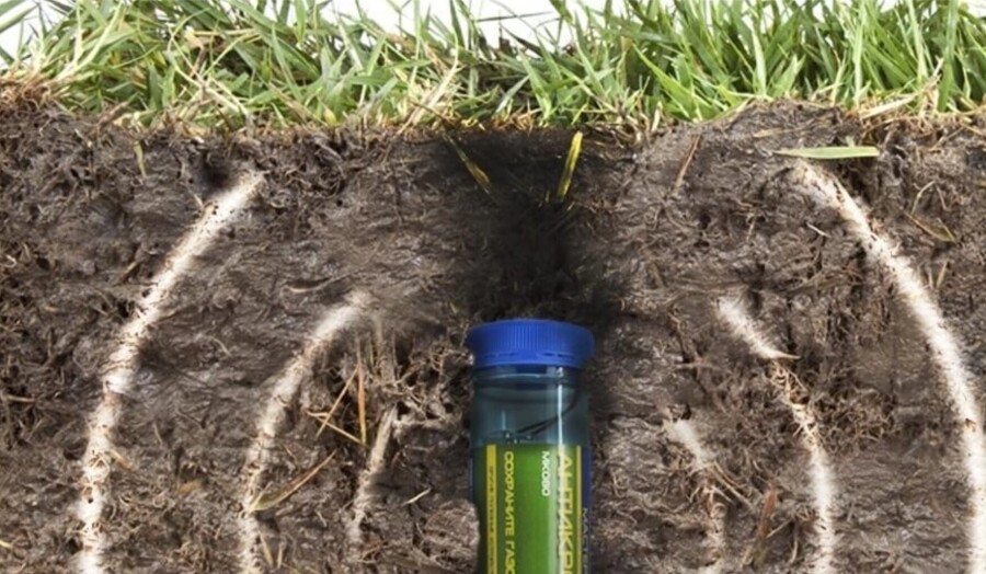 как избавиться от землеройки