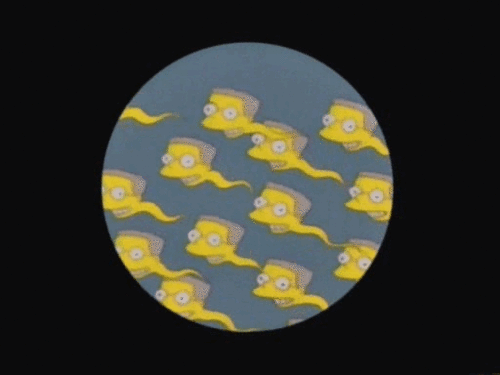 сперматозоиды под микроскопом