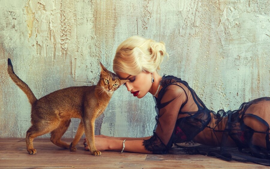 Как встречаться с кошатницой