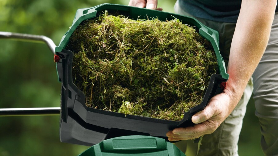 как избавиться от мха