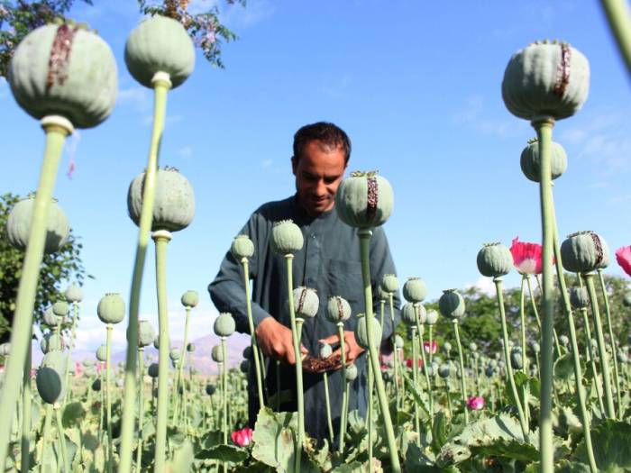 запрет на мак