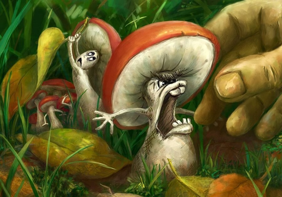 фобия грибов