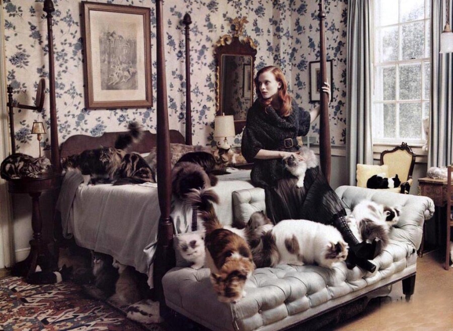 Как жить с кошатницой