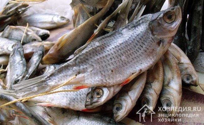 Даже большой улов можно заготовить впрок и хранить в домашних условиях