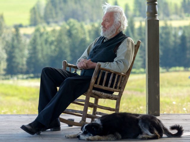 Уютное деревянное садовое кресло своими руками